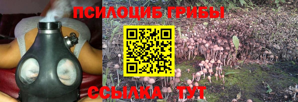 Псилоцибиновые грибы GOLDEN TEACHER  Галлюциногенные грибы MAGIC MUSHROOMS  Вход с VPN  купить закладку  Якутск 