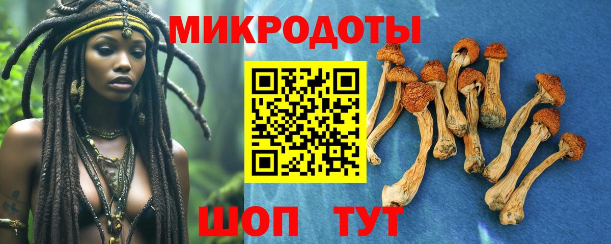Галлюциногенные грибы мухоморы Якутск